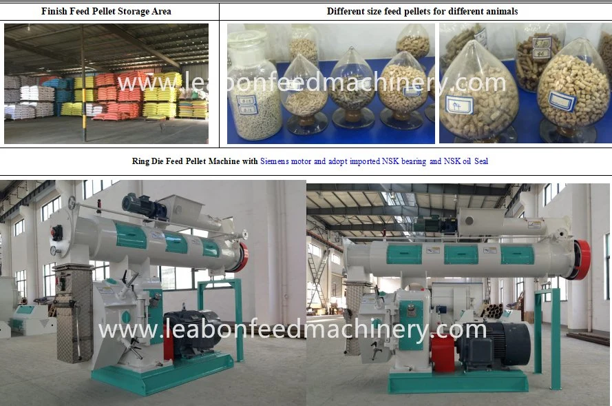 Cm Series Ring Die Small Poultry Feed Pellet Machine