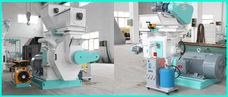 1t/H Capacity Ring Die Biomass Wood Pellet Mill Biomass Pelletizing Machine