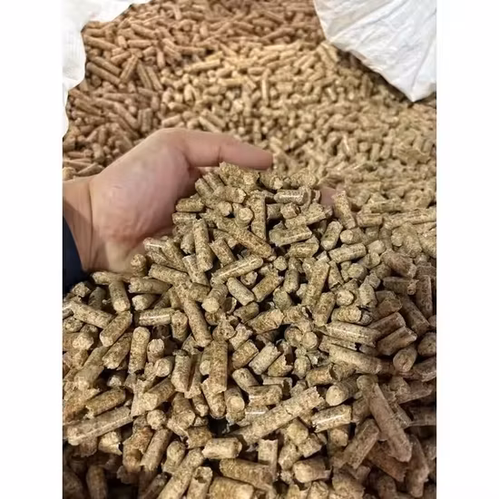 Biocarburante Energia Buccia di riso Segatura Polvere di bambù Ramo di un albero Granulatore Pressa per bricchette/Anello Piatto Die 1t/H 2t Agricoltura Biomassa Pellet di legno Macchina