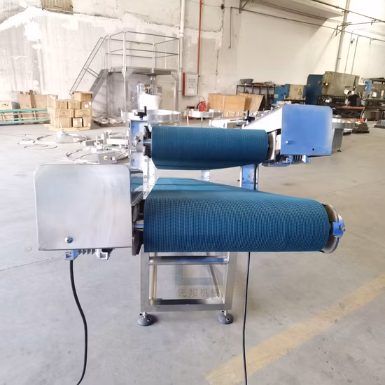 Trasportatore a nastro bianco per uso alimentare utilizzato nella linea di produzione alimentare