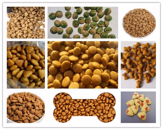 Attrezzatura per estrusione di cibo per pesci per gatti a secco per animali domestici Macchina per estrusione di alimenti galleggianti per animali vegetali Macchina per estrusori Linea di produzione di pellet per alimenti per cani per animali domestici Prezzo